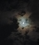 Moonlight