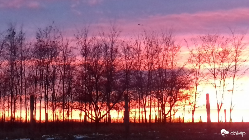 Észlelési fényképek