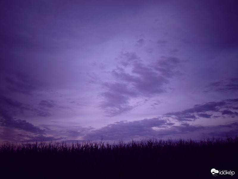 Egy békés nyári estén