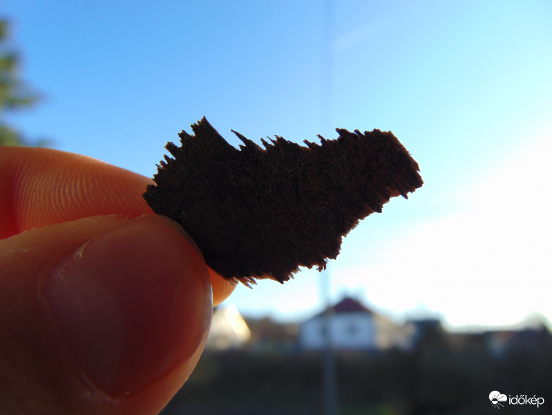 Begyújtás előtt lepottyant a földre egy pici,magyarországot ábrázoló fadarab. :)