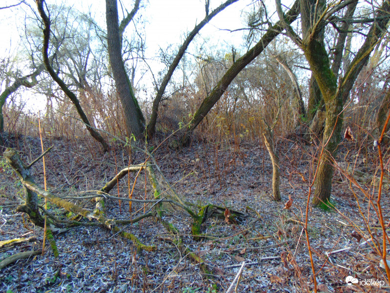 Krikszkraksz fíling a Rába egyik holágán