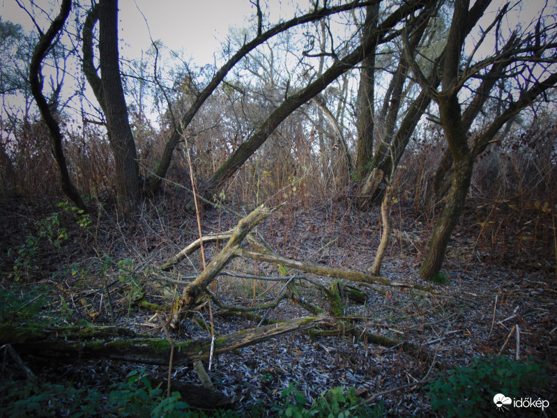 A Rába egyik holtága 