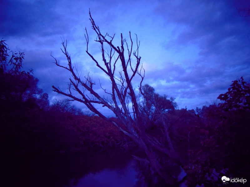 Ma is rámesteledett a Rábaparton :)