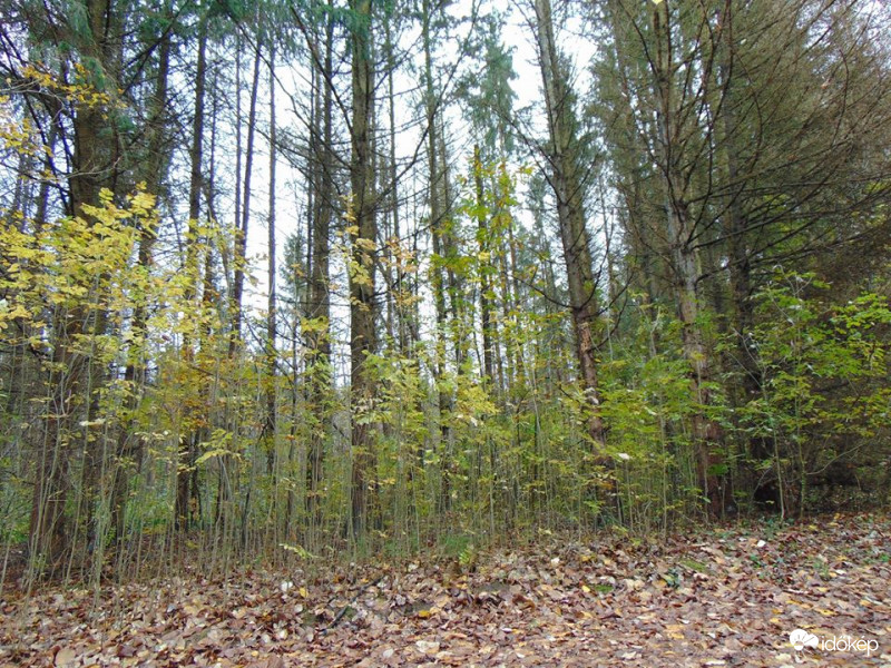 A nagyok,és a kicsik