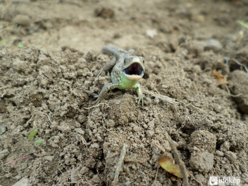 Valaki nagyon mérges!