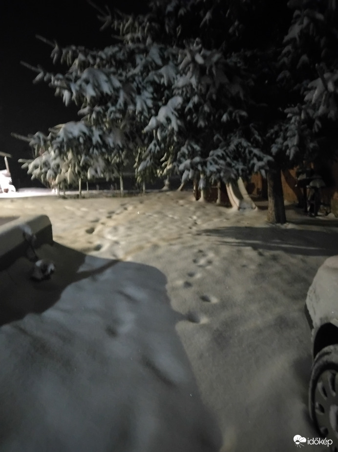 Észlelési fényképek