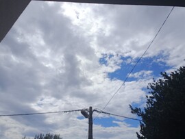 Ribarica