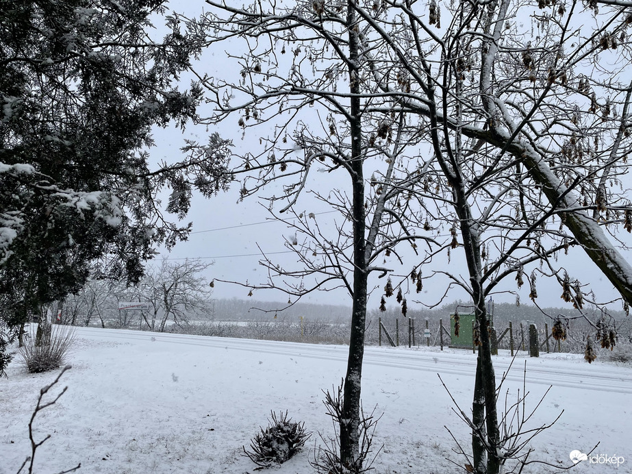 Észlelési fényképek