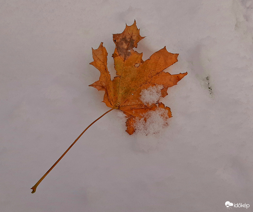 Ősz és tél nálunk is találkozott 3. :)