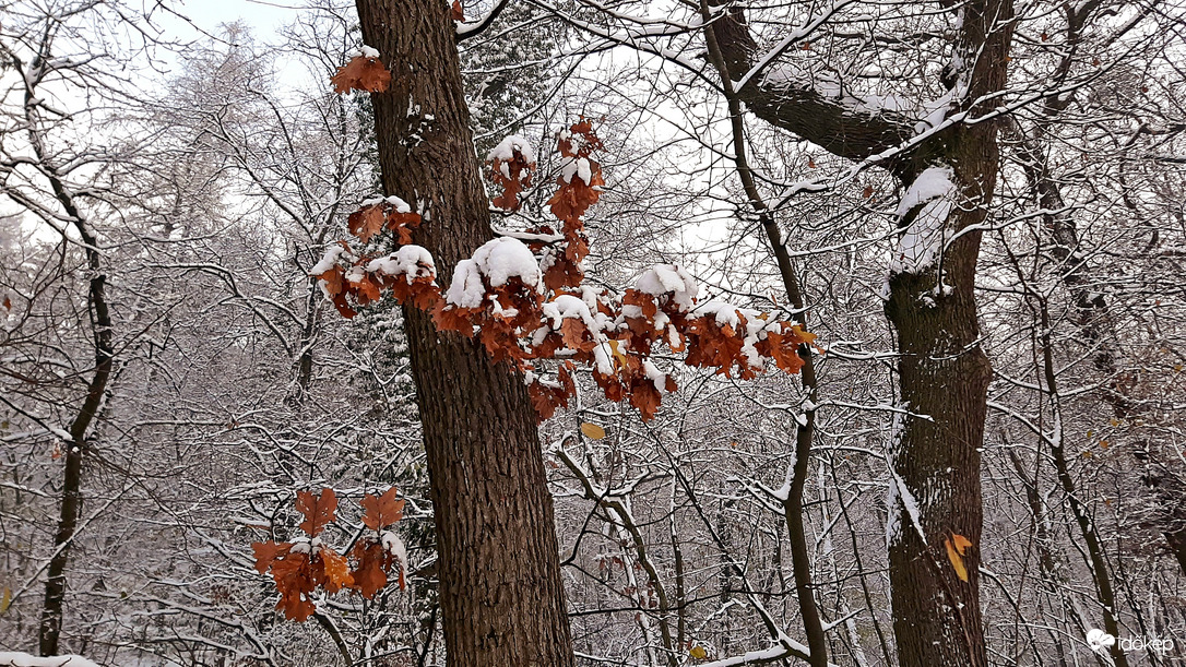Ősz és tél nálunk is találkozott 4. :)
