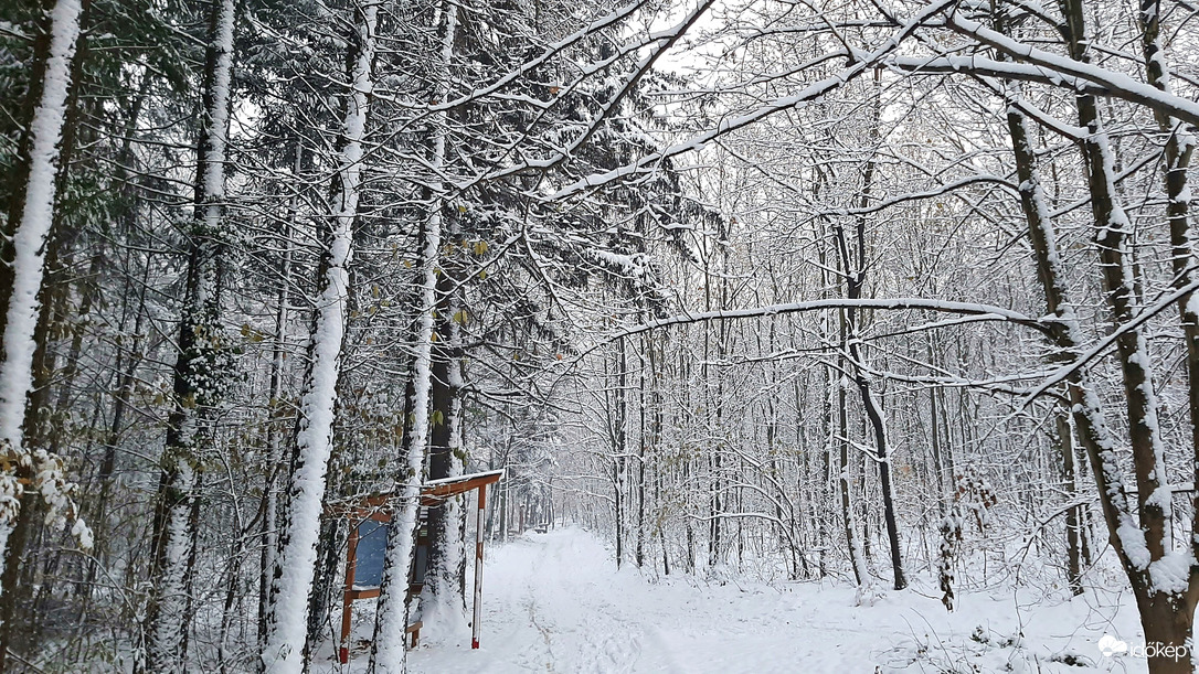 Havas erdőrészlet 4. :)