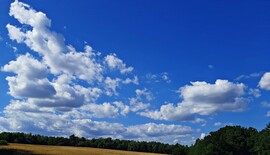 Gomolyfelhős időben a Fáber-réten június végén 4. :)