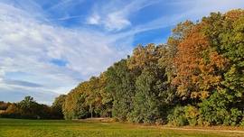 Kék eges - felhős a Fáber-réten 3. :)