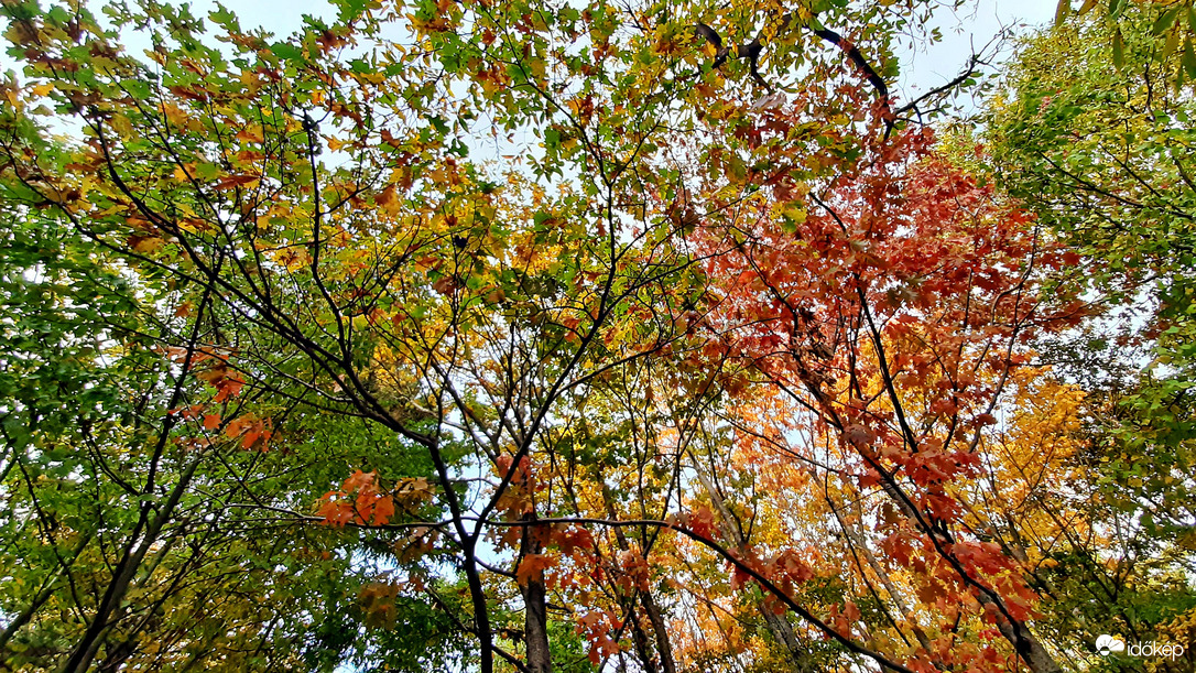 Zöld, sárga, piros... :)