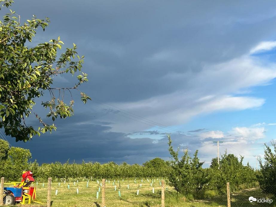 Észlelési fényképek