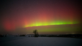 Sarki Fény 2026.01.19