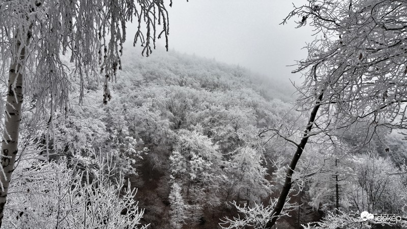 Zúzmara a Kőszegi hegységben 2016.12.22