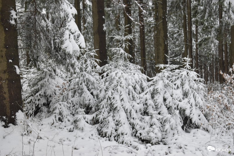Írott-kő Kőszeg 2017.03.01. Hóvastagság átlagosan 5-10 cm Friss reggeli képek a helyszínről.