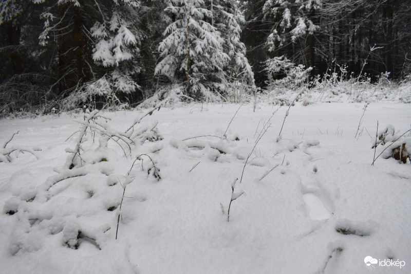 Írott-kő Kőszeg 2017.03.01. Hóvastagság átlagosan 5-10 cm Friss reggeli képek a helyszínről.