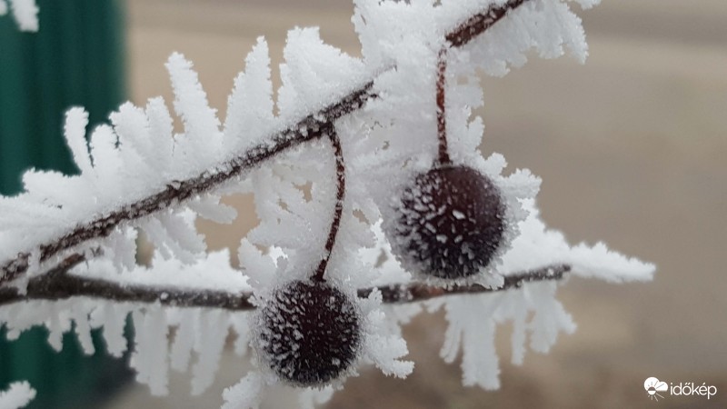 Séta a zúzmarában