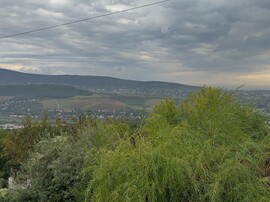 Buda