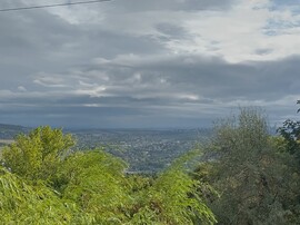 Buda