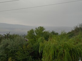 Buda