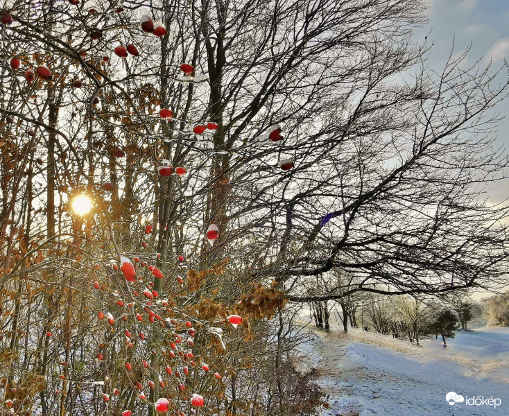 Kis szín a téli ridegségben.