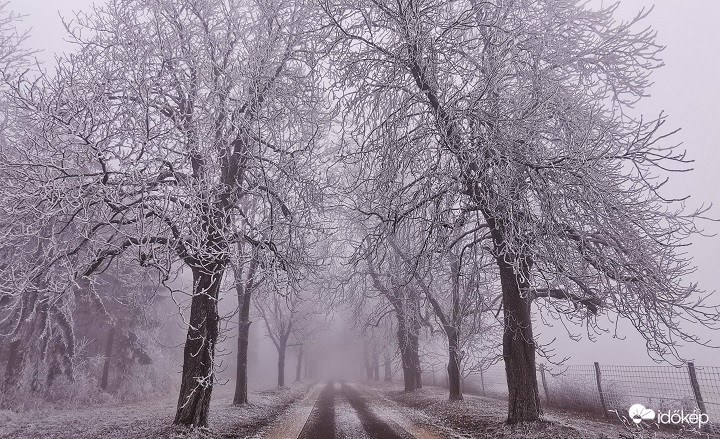 Nem látni az alagút végét