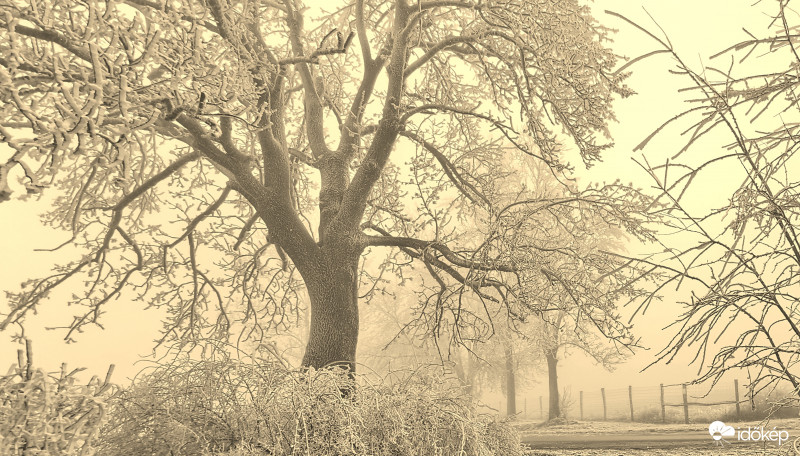 Sejtelmes fény ragyog