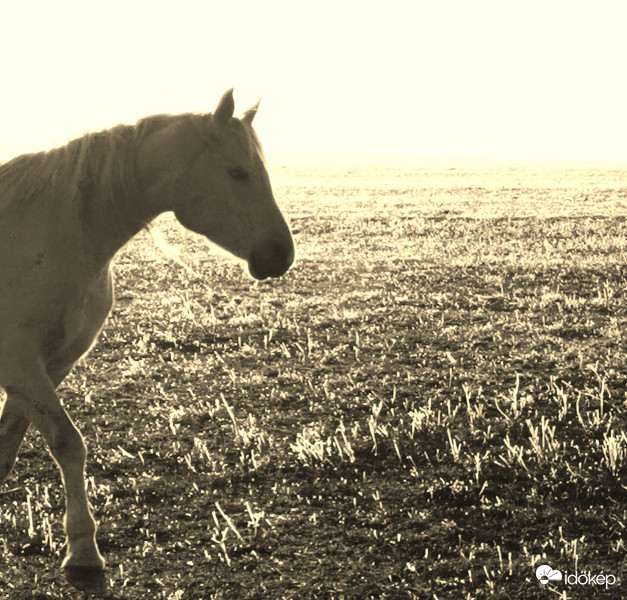 Megyek megkeresem a jó időt.