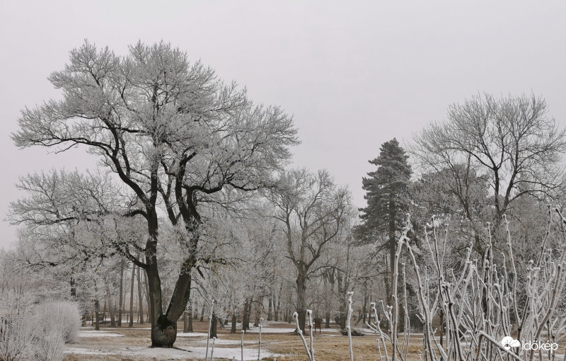 Szép fehér ruhába