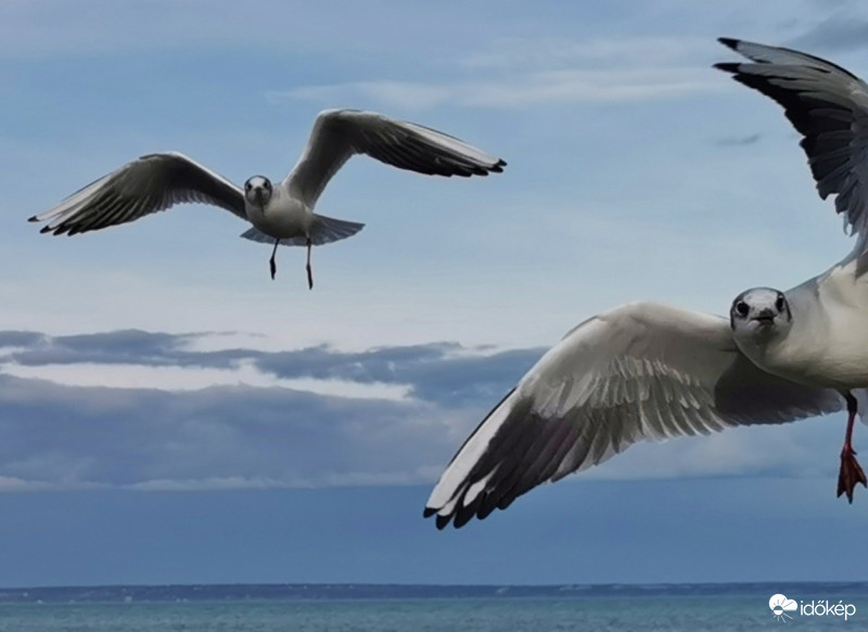  Ott is nagy a szél?