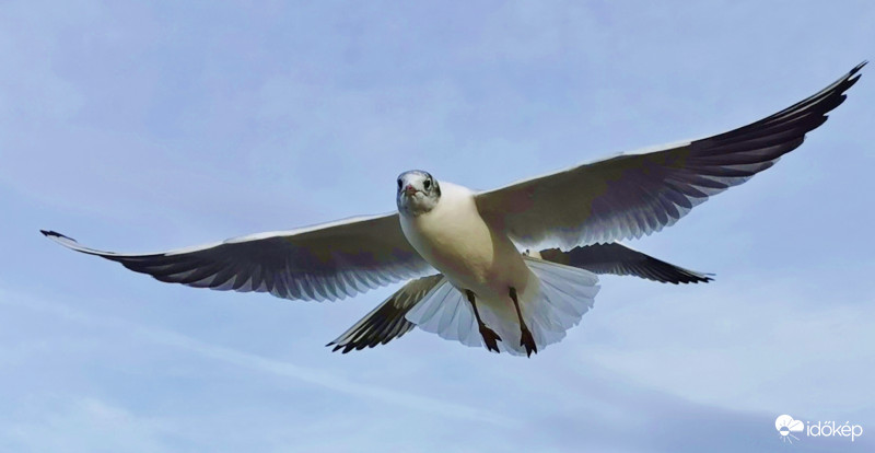 Ilyen időbe még repülni is jobb.