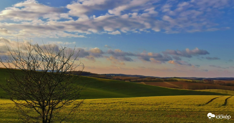 Gyönyörű színek a nagy szélben.