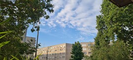 Szigetszentmiklós