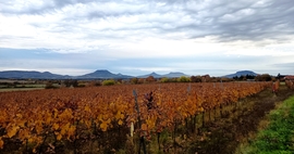 Egyszerű, de nagyszerű!