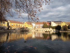 Napsütéses délután!