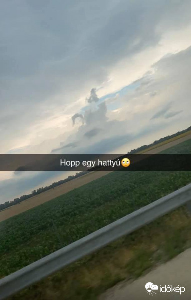 Észlelési fényképek