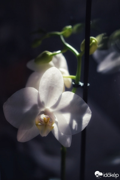 Budapest IV.ker - Újpest