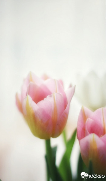 Budapest IV.ker - Újpest