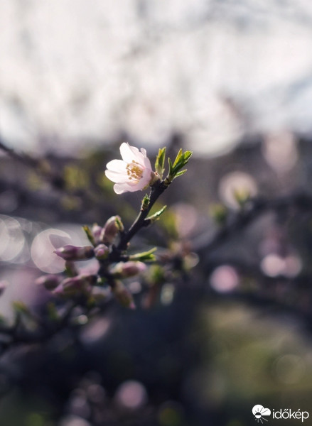 Budapest IV.ker - Újpest