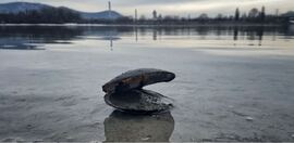 Budapest IV.ker - Újpest