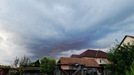 Sülysáp
