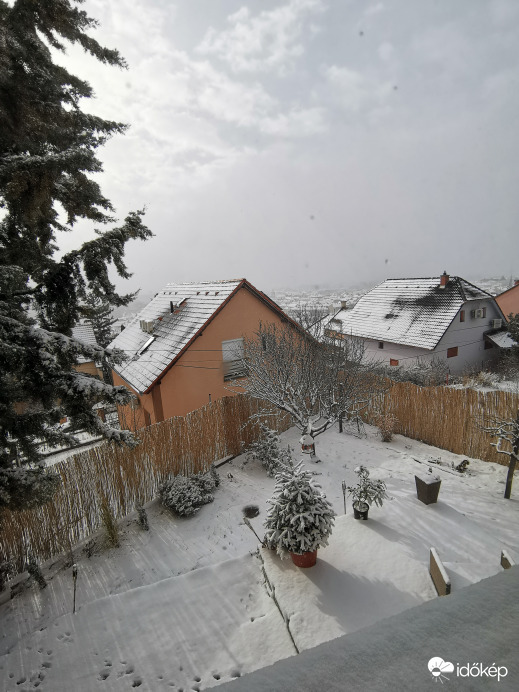 Észlelési fényképek