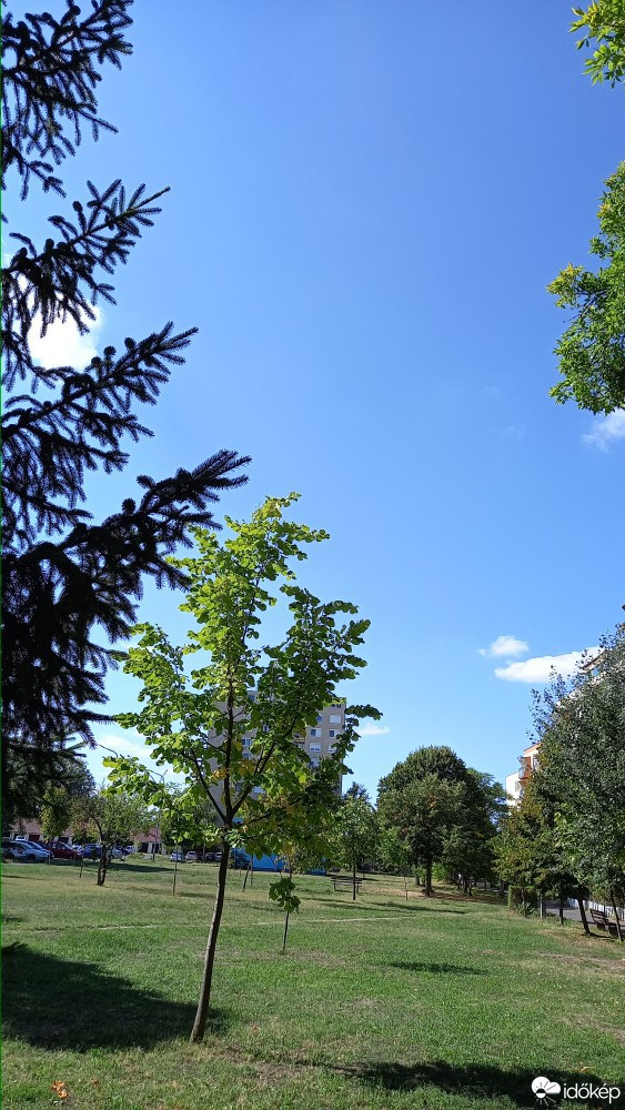 Gyula