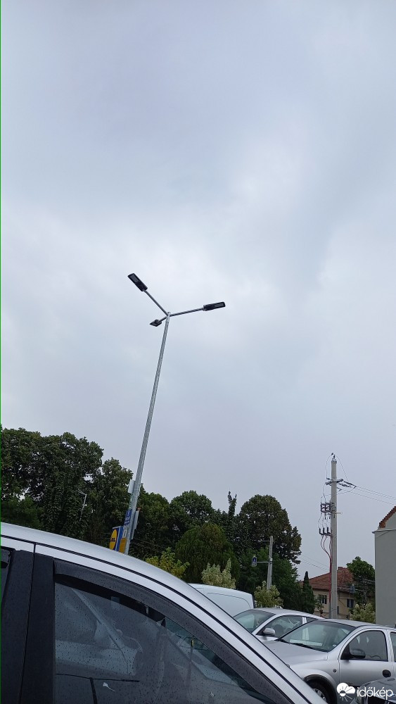 Kisjenő