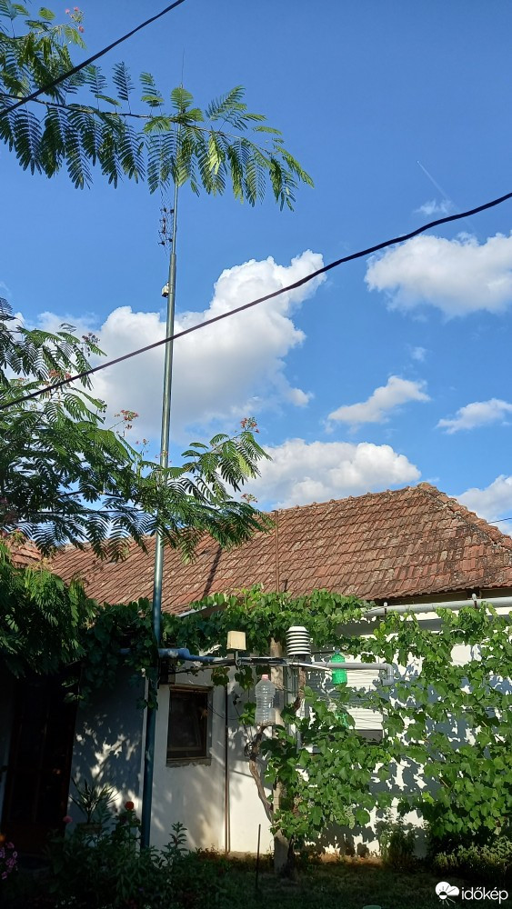 Feketegyarmat