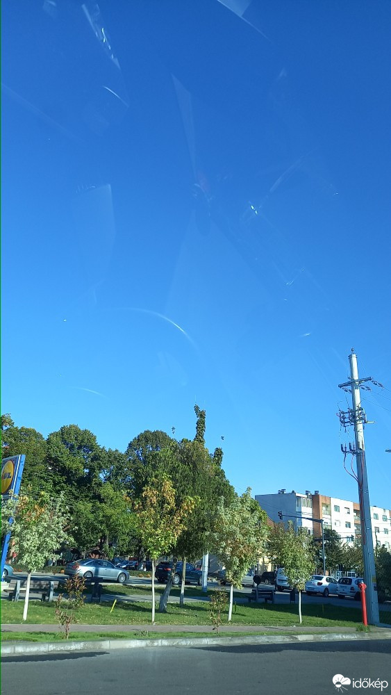 Kisjenő