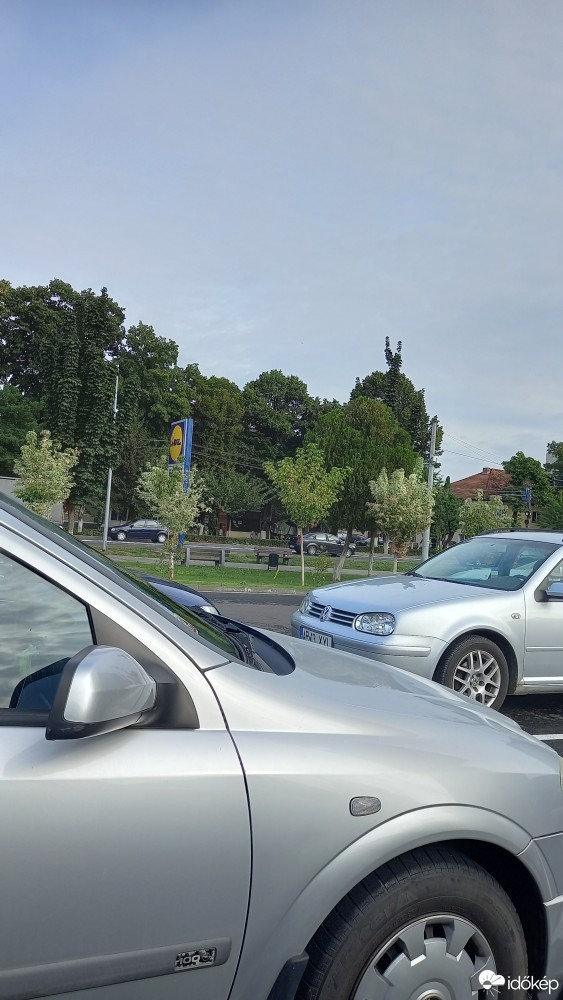 Kisjenő